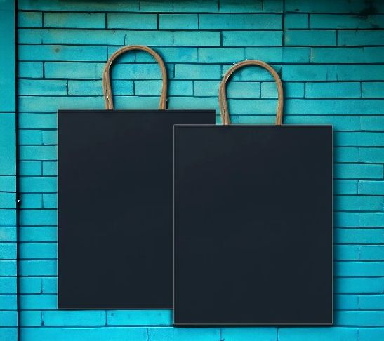 Пакет бумажный ROBLE / Крафтовый пакет 32х40х12 см, с короткими усиленными ручками витой формы